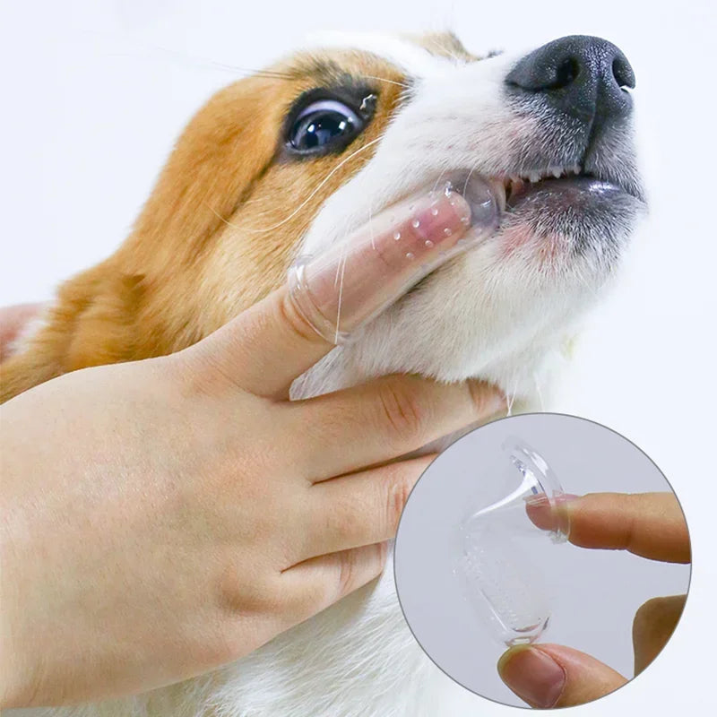 Silicone Finger Toothbrush for Dogs & Cats